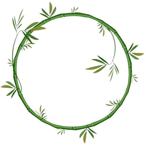 Planta decorativa arrow